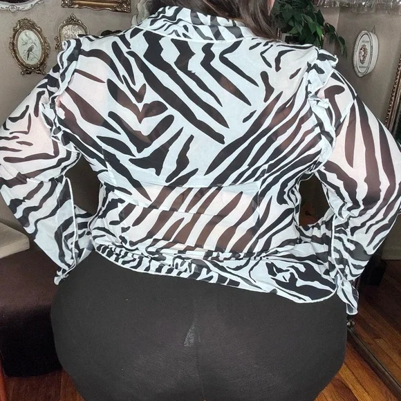 Zebra Print Sheer Tie-Front Top - Picture 2 of 4